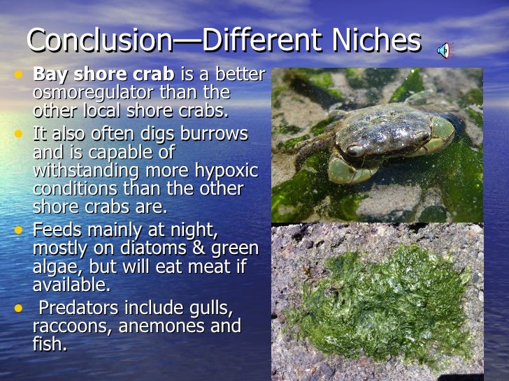 5 23 crabs’ niches in crab cove