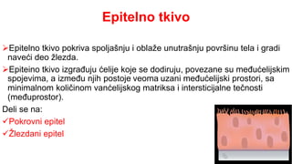 5.Tkiva.pptx