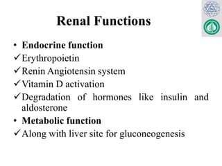 Renal Functions
• Endocrine function
Erythropoietin
Renin Angiotensin system
Vitamin D activation
Degradation of hormones like insulin and
aldosterone
• Metabolic function
Along with liver site for gluconeogenesis
 