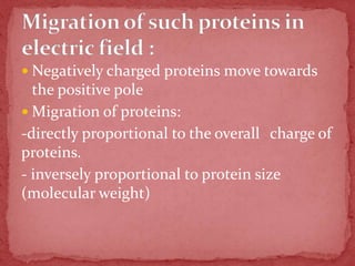  Negatively charged proteins move towards
the positive pole
 Migration of proteins:
-directly proportional to the overall charge of
proteins.
- inversely proportional to protein size
(molecular weight)
 