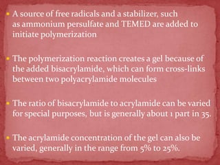  A source of free radicals and a stabilizer, such
as ammonium persulfate and TEMED are added to
initiate polymerization
 The polymerization reaction creates a gel because of
the added bisacrylamide, which can form cross-links
between two polyacrylamide molecules
 The ratio of bisacrylamide to acrylamide can be varied
for special purposes, but is generally about 1 part in 35.
 The acrylamide concentration of the gel can also be
varied, generally in the range from 5% to 25%.
 
