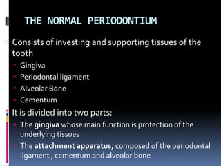 THE NORMAL PERIODONTIUM
 Consists of investing and supporting tissues of the
tooth
 Gingiva
 Periodontal ligament
 Alveolar Bone
 Cementum
 It is divided into two parts:
 The gingiva whose main function is protection of the
underlying tissues
 The attachment apparatus, composed of the periodontal
ligament , cementum and alveolar bone
 