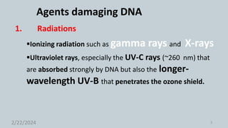 DNA damage and repair mechanism | PPTX