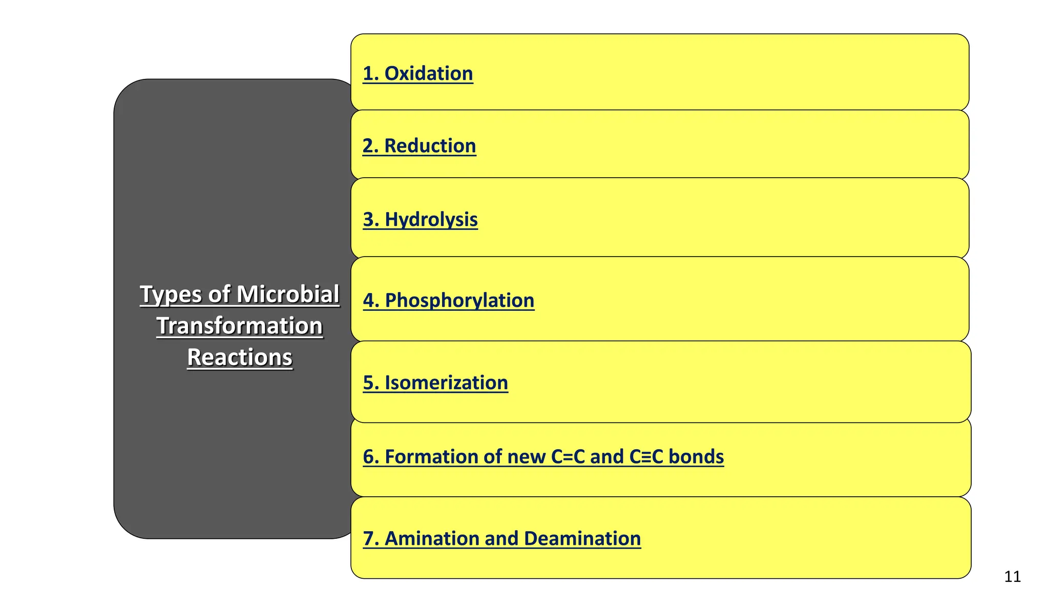 11
Types of Microbial
Transformation
Reactions
1. Oxidation
2. Reduction
3. Hydrolysis
4. Phosphorylation
6. Formation of new C=C and C≡C bonds
5. Isomerization
7. Amination and Deamination
 