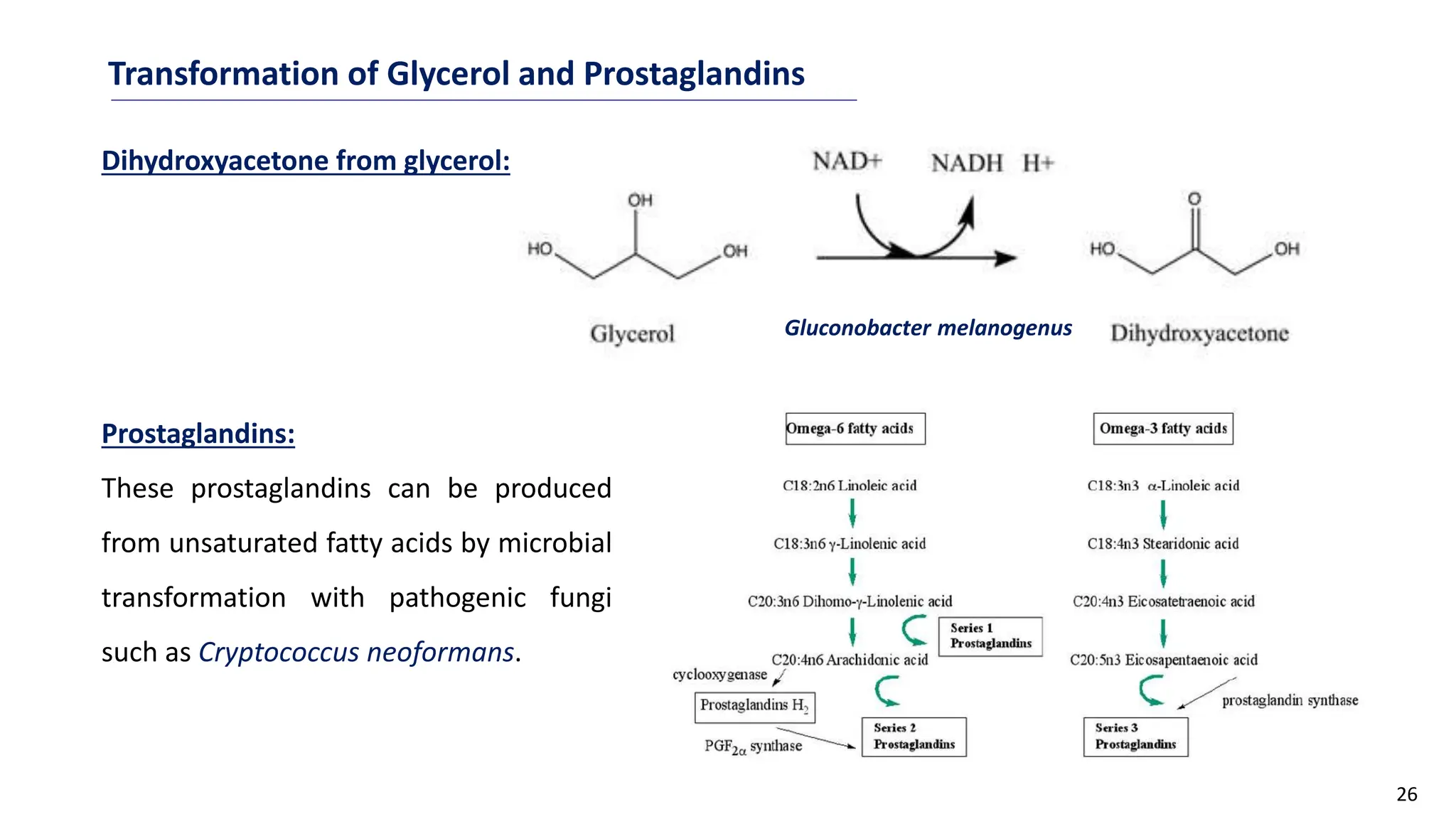 26
Transformation of Glycerol and Prostaglandins
Dihydroxyacetone from glycerol:
Prostaglandins:
These prostaglandins can be produced
from unsaturated fatty acids by microbial
transformation with pathogenic fungi
such as Cryptococcus neoformans.
Gluconobacter melanogenus
 