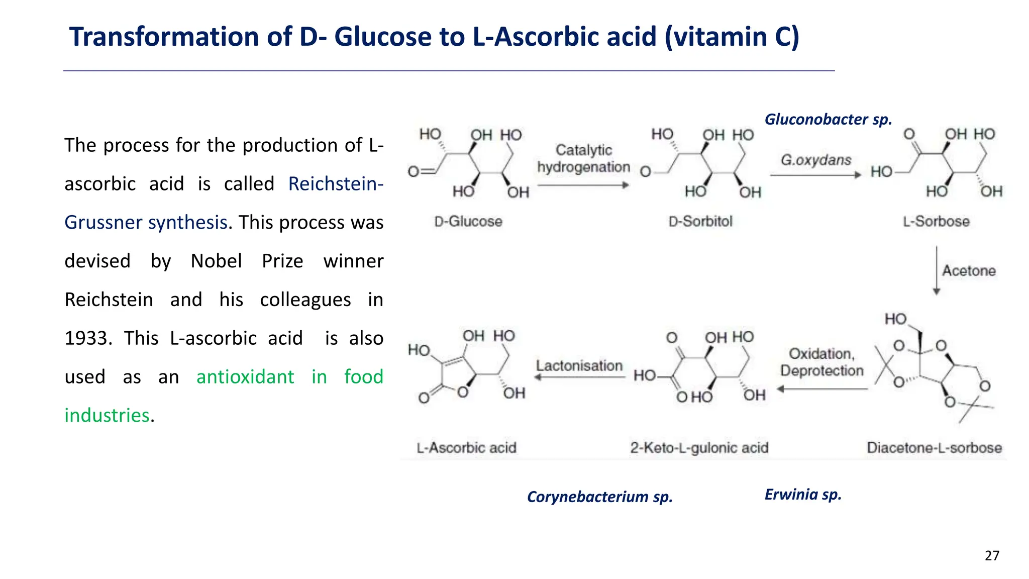 27
Transformation of D- Glucose to L-Ascorbic acid (vitamin C)
The process for the production of L-
ascorbic acid is called Reichstein-
Grussner synthesis. This process was
devised by Nobel Prize winner
Reichstein and his colleagues in
1933. This L-ascorbic acid is also
used as an antioxidant in food
industries.
Gluconobacter sp.
Erwinia sp.
Corynebacterium sp.
 