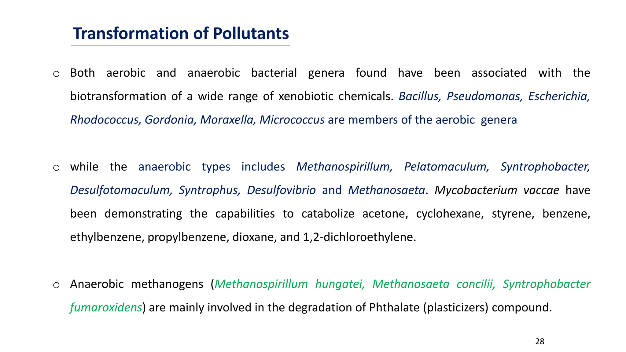 28
Transformation of Pollutants
o Both aerobic and anaerobic bacterial genera found have been associated with the
biotransformation of a wide range of xenobiotic chemicals. Bacillus, Pseudomonas, Escherichia,
Rhodococcus, Gordonia, Moraxella, Micrococcus are members of the aerobic genera
o while the anaerobic types includes Methanospirillum, Pelatomaculum, Syntrophobacter,
Desulfotomaculum, Syntrophus, Desulfovibrio and Methanosaeta. Mycobacterium vaccae have
been demonstrating the capabilities to catabolize acetone, cyclohexane, styrene, benzene,
ethylbenzene, propylbenzene, dioxane, and 1,2-dichloroethylene.
o Anaerobic methanogens (Methanospirillum hungatei, Methanosaeta concilii, Syntrophobacter
fumaroxidens) are mainly involved in the degradation of Phthalate (plasticizers) compound.
 