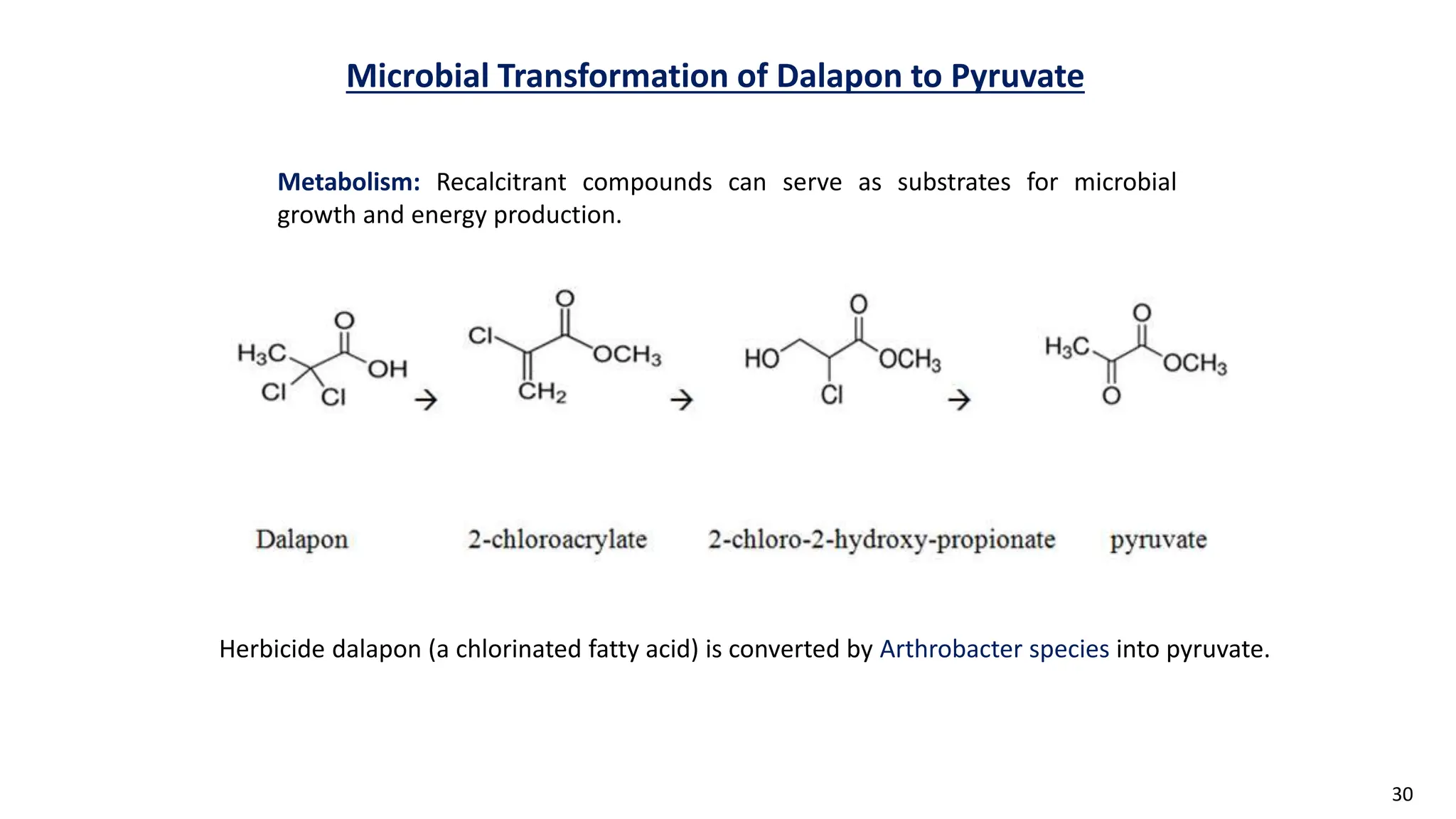 30
Microbial Transformation of Dalapon to Pyruvate
Herbicide dalapon (a chlorinated fatty acid) is converted by Arthrobacter species into pyruvate.
Metabolism: Recalcitrant compounds can serve as substrates for microbial
growth and energy production.
 