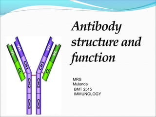 Antibody
structure and
function
MRS
Mulonda
BMT 2515
IMMUNOLOGY
 