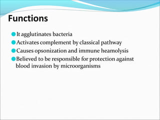 Functions
●It agglutinates bacteria
●Activates complement by classical pathway
●Causes opsonization and immune heamolysis
●Believed to be responsible for protection against
blood invasion by microorganisms
 
