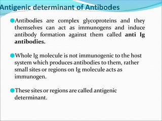 Antigenic determinant of Antibod
ies
●Antibodies are complex glycoproteins and they
themselves can act as immunogens and induce
antibody formation against them called anti Ig
antibodies.
●Whole Ig molecule is not immunogenic to the host
system which produces antibodies to them, rather
small sites or regions on Ig molecule acts as
immunogen.
●These sites or regions are called antigenic
determinant.
 