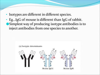 • Isotypes are different in different species.
• Eg…IgG of mouse is different than IgG of rabbit.
●Simplest way of producing isotype antibodies is to
inject antibodies from one species to another.
 