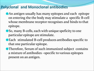 Polyclonal and Monoclonal antibodies
●An antigen usually has many epitopes and each epitope
on entering the the body may stimulate a specific B-cell
whose membrane receptor recognises and binds to that
epitope.
●So, many B-cells, each with unique speficity to one
particular epitope are stimulate.
●Each stimulated B-cell produces antibodies specific to
that one particular epitope.
●Therefore, Serum of such immunized subject contains
a mixture of antibodies –specific to various epitopes
present on an antigen.
 