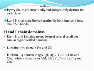 contd…..
●Heavy chains are structurally and antigenically distinct for
each class.
●L and H chains are linked together by both inter and intra
chain S-S bonds.
H and Lchain domains:-
• Each H and L chains are made up of several small but
similar regions called domains.
• L- chain:- two domain (VL and CL)
• H-chain :- 4 domain in IgA, IgD ,IgG (VH,CH1,CH2 and
CH3) while 5 domains in IgM, IgE ( VL,CH1,CH2,CH3 and
CH4).
 