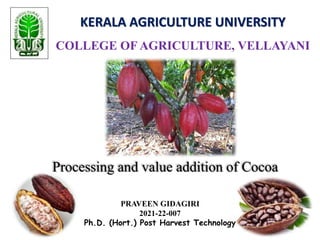 KERALA AGRICULTURE UNIVERSITY
COLLEGE OF AGRICULTURE, VELLAYANI
Processing and value addition of Cocoa
PRAVEEN GIDAGIRI
2021-22-007
Ph.D. (Hort.) Post Harvest Technology
 