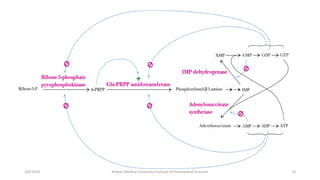 10
3/6/2024 Khyber Medical University Institute of Paramedical Sciences
 