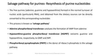 Salvage pathway for purines- Resynthesis of purine nucleotides
• The free purines (adenine, guanine and hypoxanthine) formed in the normal turnover of
nucleic acids (particularly RNA), and obtained from the dietary sources can be directly
converted to the corresponding nucleotides
• This process is known as ‘salvage pathway’
• Adenine phosphoribosyl transferase catalyzes the formation of AMP from adenine
• Hypoxanthine-guanine phosphoribosyl transferase (HGPRT) converts guanine and
hypoxanthine, respectively, to GMP and IMP.
• Phosphoribosyl pyrophosphate (PRPP) is the donor of ribose 5-phosphate in the salvage
pathway
12
3/6/2024 Khyber Medical University Institute of Paramedical Sciences
 