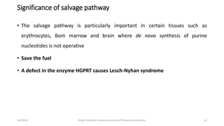 Significance of salvage pathway
• The salvage pathway is particularly important in certain tissues such as
erythrocytes, Bom marrow and brain where de novo synthesis of purine
nucleotides is not operative
• Save the fuel
• A defect in the enzyme HGPRT causes Lesch-Nyhan syndrome
14
3/6/2024 Khyber Medical University Institute of Paramedical Sciences
 