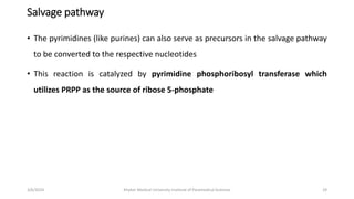 Salvage pathway
• The pyrimidines (like purines) can also serve as precursors in the salvage pathway
to be converted to the respective nucleotides
• This reaction is catalyzed by pyrimidine phosphoribosyl transferase which
utilizes PRPP as the source of ribose 5-phosphate
29
3/6/2024 Khyber Medical University Institute of Paramedical Sciences
 