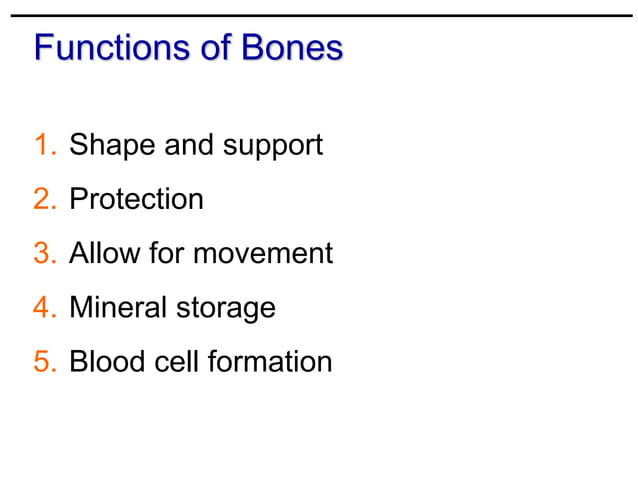 THE SKELETAL SYSTEM - The functions of bone Classification and ...