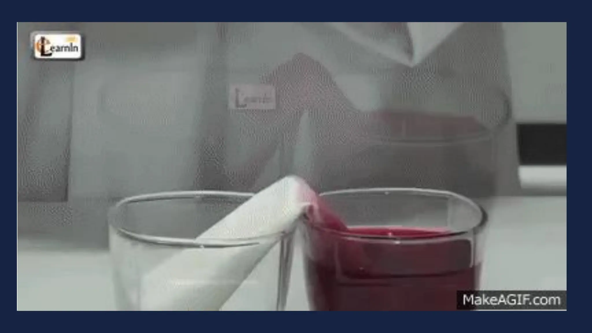 capillary action gif
 