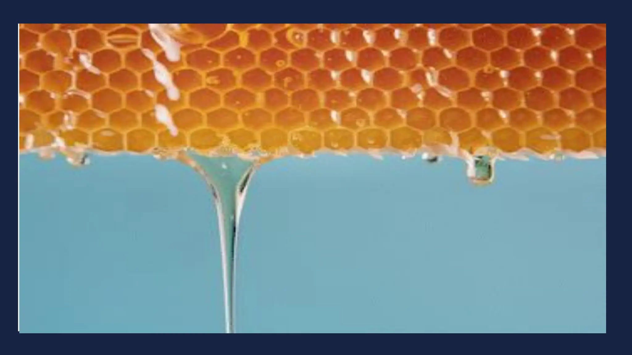 dripping honey gif
 