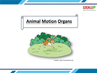 Animal Motion Organs
Sumber: Buku Tematik kelas 5A
 