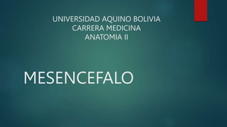 MESENCEFALO
UNIVERSIDAD AQUINO BOLIVIA
CARRERA MEDICINA
ANATOMIA II
 