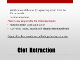 Clot Retraction
• stabilization of the clot by squeezing serum from the
fibrin strands
• Serum cannot clot
Platelets are responsible for clot retraction by
• releasing fibrin stabilizing factor
• Activating actin , myosin and platelets thrombosthenin
Edges of broken vessels are pulled together by retraction
 