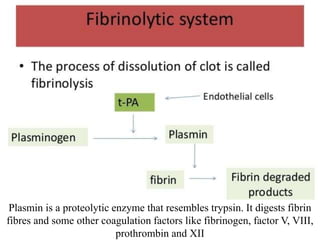 Plasmin is a proteolytic enzyme that resembles trypsin. It digests fibrin
fibres and some other coagulation factors like fibrinogen, factor V, VIII,
prothrombin and XII
 