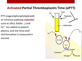Hemostasis; intravascular coagulation and anticoagulation