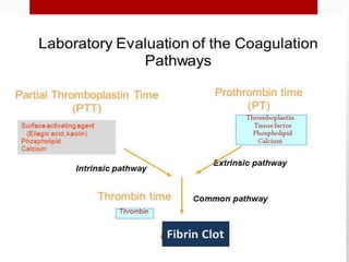 Hemostasis; intravascular coagulation and anticoagulation