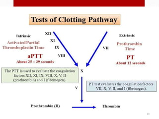 Hemostasis; intravascular coagulation and anticoagulation