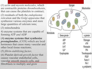 (1) actin and myosin molecules, which
are contractile proteins thrombosthenin,
that can cause the platelets to contract;
(2) residuals of both the endoplasmic
reticulum and the Golgi apparatus that
synthesize various enzymes and store
large quantities of calcium ions;
(3) mitochondria
4) enzyme systems that are capable of
forming ATP and ADP
(4) enzyme systems that synthesize
prostaglandins, (COX) which are local
hormones that cause many vascular and
other local tissue reactions;
(5) fibrin-stabilizing factor,
(6) Platelet derived growth factor that
causes vascular endothelial cells,
vascular smooth muscle cells, and
fibroblasts to multiply and grow
 