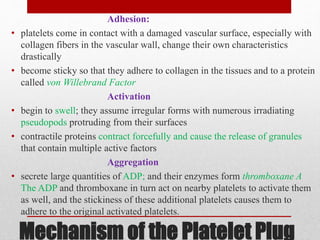 Mechanism of the Platelet Plug
Adhesion:
• platelets come in contact with a damaged vascular surface, especially with
collagen fibers in the vascular wall, change their own characteristics
drastically
• become sticky so that they adhere to collagen in the tissues and to a protein
called von Willebrand Factor
Activation
• begin to swell; they assume irregular forms with numerous irradiating
pseudopods protruding from their surfaces
• contractile proteins contract forcefully and cause the release of granules
that contain multiple active factors
Aggregation
• secrete large quantities of ADP; and their enzymes form thromboxane A
The ADP and thromboxane in turn act on nearby platelets to activate them
as well, and the stickiness of these additional platelets causes them to
adhere to the original activated platelets.
 
