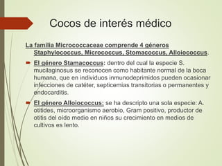 Alloiococcus 5. cocos de interes meduico.pptx streptococos | PPTX