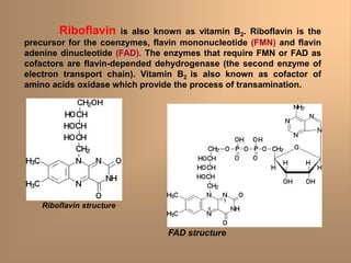 Riboflavin is also known as vitamin B2. Riboflavin is the
precursor for the coenzymes, flavin mononucleotide (FMN) and flavin
adenine dinucleotide (FAD). The enzymes that require FMN or FAD as
cofactors are flavin-depended dehydrogenase (the second enzyme of
electron transport chain). Vitamin B2 is also known as cofactor of
amino acids oxidase which provide the process of transamination.
FAD structure
Riboflavin structure
 