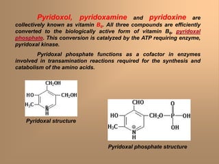 Pyridoxol, pyridoxamine and pyridoxine are
collectively known as vitamin B6. All three compounds are efficiently
converted to the biologically active form of vitamin B6, pyridoxal
phosphate. This conversion is catalyzed by the ATP requiring enzyme,
pyridoxal kinase.
Pyridoxal phosphate functions as a cofactor in enzymes
involved in transamination reactions required for the synthesis and
catabolism of the amino acids.
Pyridoxal structure
Pyridoxal phosphate structure
 