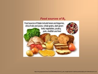 Food sources of B9
https://lh3.googleusercontent.com/0IlfsbKBMazoBJ3Yy0_pwR_WegBrGpKXhFLH8oWksUo6lhXjhdfjPjyJ8YtYMNnRkshslA=s132
 