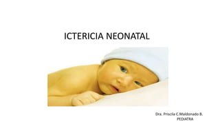 ICTERICIA NEONATAL
Dra. Priscila C.Maldonado B.
PEDIATRA
 