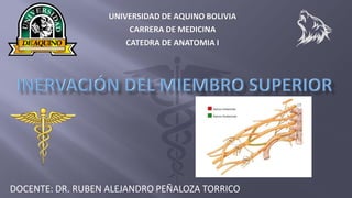 DOCENTE: DR. RUBEN ALEJANDRO PEÑALOZA TORRICO
UNIVERSIDAD DE AQUINO BOLIVIA
CARRERA DE MEDICINA
CATEDRA DE ANATOMIA I
 