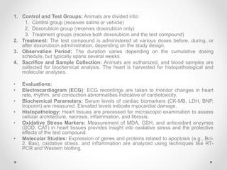 Biological Screening of Herbal Drugs in detailed. | PPTX