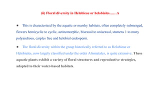 Helobieae or helobiales : Salient features, floral & family diversity ...