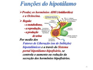 Funções do hipotálamo
Produz os hormônios ADH(Antidiurético)
e a Ocitocina.
 Regula:
-ometabolismo,
-areprodução,
-aprodução
deurina
Por medio dos
Fatores de Liberação (ou de Inibição)
hipotalâmicos e a través do Sistema
portal hipotálamo-hipofisário, se
controla o aumento ou redução da
secreção dos hormônios hipofisários.
25
 