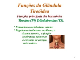 * Estimulam o metabolismo celular.
* Regulam os batimentos cardíacos, o
sistema nervoso, a função
respiratória pulmonar,
o consumo de energia,
entre outros.
Funções da Glândula
Tireóidea
Funções principais dos hormônios
Tirocina (T4) Triiodotironina (T3).
32
 
