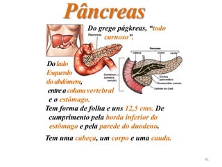 Do grego págkreas, “todo
carnoso”.
Dolado
Esquerdo
doabdómem,
entreacolunavertebral
e o estômago.
Tem forma de folha e uns 12,5 cms. De
cumprimento pela borda inferior do
estômago e pela parede do duodeno.
Tem uma cabeça, um corpo e uma cauda.
Pâncreas
41
 