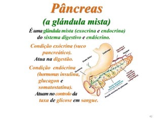 Pâncreas
(a glándula mista)
Éumaglândulamista (exocrina e endocrina)
do sistema digestivo e endócrino.
Condição exócrina (suco
pancreático).
Atua na digestão.
Condição endócrina
(hormonas insulina,
glucagon e
somatostatina).
Atuamnocontroloda
taxa de glicose em sangue.
42
 