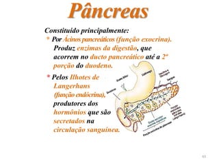 Pâncreas
Constituído principalmente:
* PorÁcinospancreáticos(função exocrina).
Produz enzimas da digestão, que
acorrem no ducto pancreático até a 2ª
porção do duodeno.
* Pelos Ilhotes de
Langerhans
(funçãoendócrina),
produtores dos
hormônios que são
secretados na
circulação sanguínea.
43
 