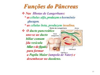 Funções do Pâncreas
 O ducto pancreático
une-se ao ducto
biliar comum
[da vesícula
biliaredofígado)
para formar
a Papila Maior (ampola de Vater) e
desembocar no duodeno.
 Nas Ilhotas de Langerhans:
* ascélulas alfa,produzemohormônio
glucagon.
* as células beta, produzem insulina.
44
 