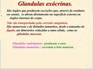 Glandulas exócrinas.
•
São órgãos que produzem secreções que, através de condutos
ou canais, se abrem diretamente na superfície externa ou
órgãos internos do corpo.
Não são transportadas pela corrente sanguinea.
São numerosas e de disimiles tamanhos, desde o tamanho do
fígado, ate dimensões reduzidas a uma célula, como as
glândulas mucosas.
Glandulas sudoríparas: produzem o suor.
Glândulas mamárias : secretam a leite materna.
5
 
